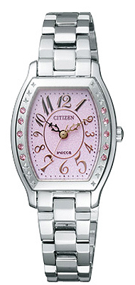 Citizen Japan Domestic Watch