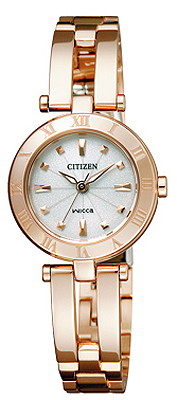 Citizen Japan Domestic Watch