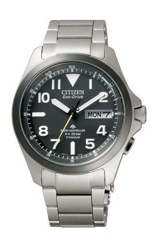 Citizen Japan Domestic Watch