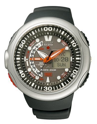 Citizen Japan Domestic Watch