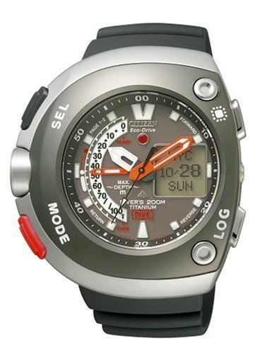 Citizen Japan Domestic Watch