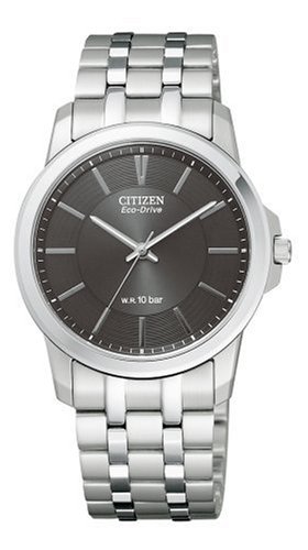 Citizen Japan Domestic Watch