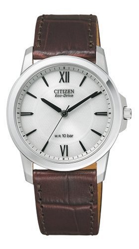 Citizen Japan Domestic Watch