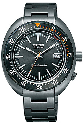 Citizen Japan Domestic Watch