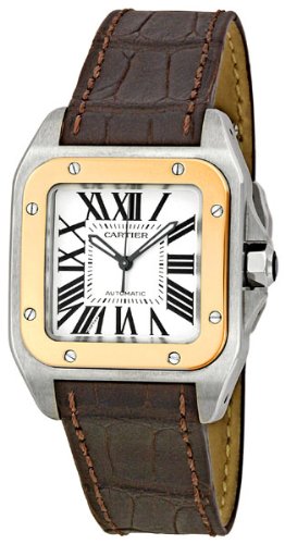 AAA 1:1 Replica Cartier Mens Watches Silver Dial Automatic 33MM W20107X7 Watch