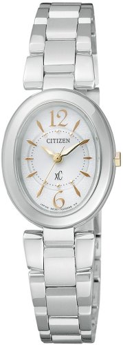 Citizen Japan Domestic Watch
