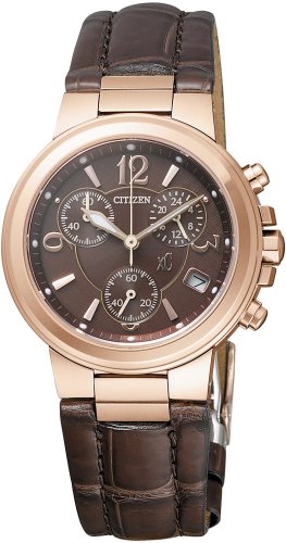 Citizen Japan Domestic Watch